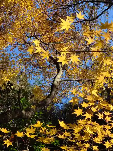 龍安寺(京都府)