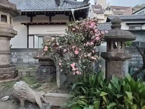 福海寺のその他建物