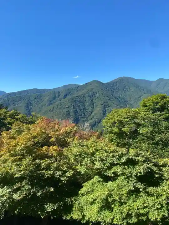 三峯神社(埼玉県)