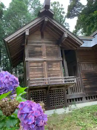 近津神社の本殿・本堂