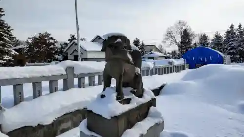 美瑛神社の狛犬