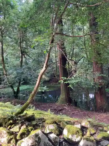 平泉寺白山神社(福井県)