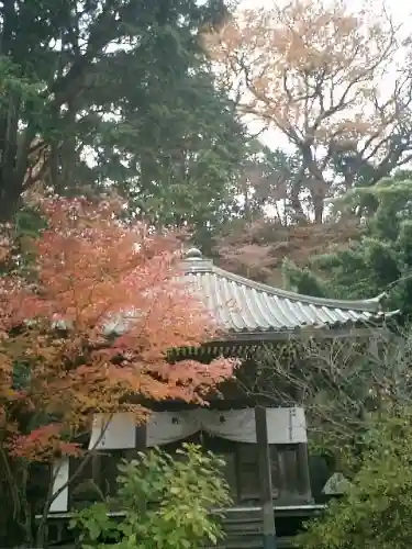 安國論寺(安国論寺)の本殿・本堂