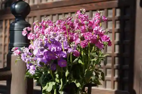 阿邪訶根神社のその他建物