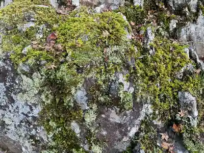 大悲閣千光寺(京都府)