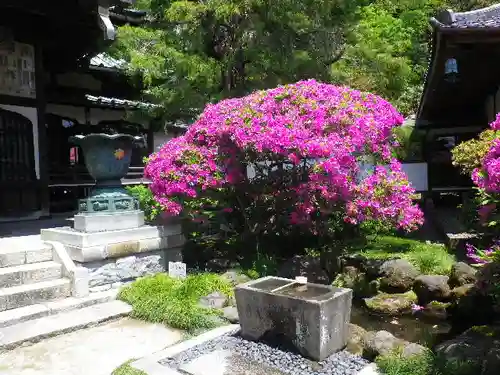 安養院　(田代寺）の自然