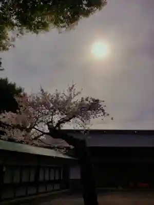 妙法寺(東京都)