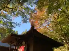 普門寺(切り絵御朱印発祥の寺)の本殿