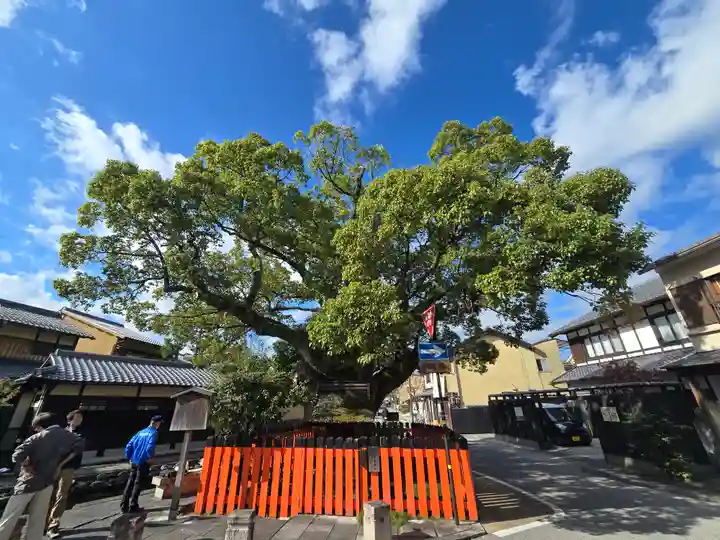 藤木社(賀茂別雷神社末社)(京都府)