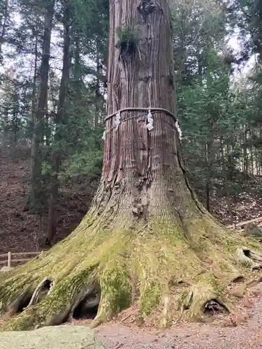 河口浅間神社(山梨県)