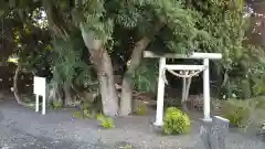 神社(名称不明)の鳥居