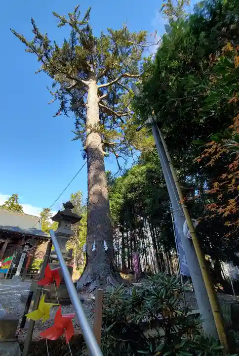 滑川神社 - 仕事と子どもの守り神のその他建物