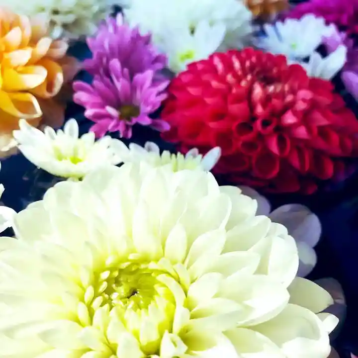 鹿島台神社の手水舎