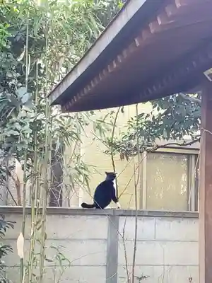 下高井戸八幡神社(東京都)