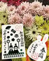 白山神社の御朱印