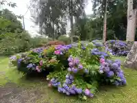 有珠善光寺(北海道)