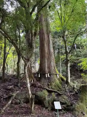 貴船神社結社(京都府)