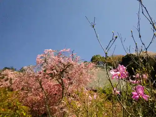 妙本寺の景色