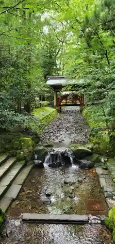 彌彦神社の庭園