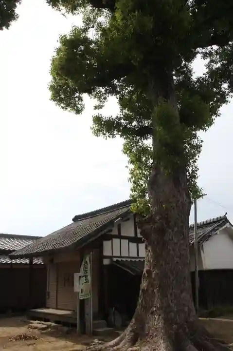 鏡作麻気神社(奈良県)