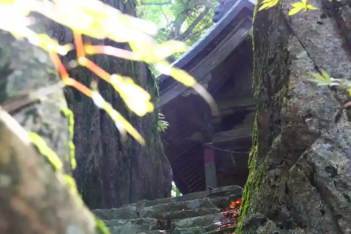 琴彈山神社の本殿・本堂