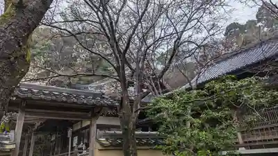 勝持寺（花の寺）(京都府)