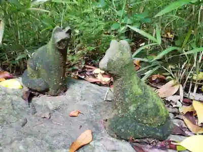 白金氷川神社の狛犬