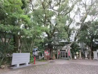 高知八幡宮(高知県)