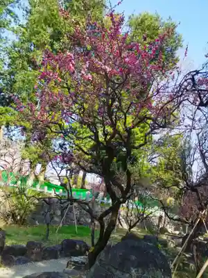 茨木神社(大阪府)