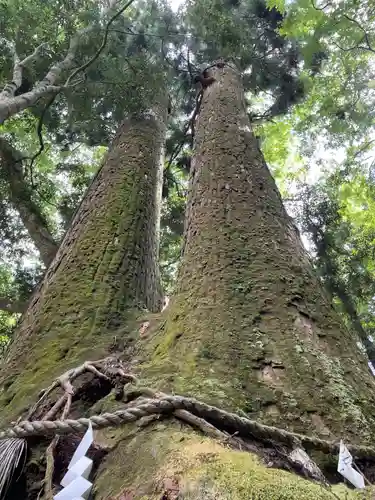 貴船神社(京都府)