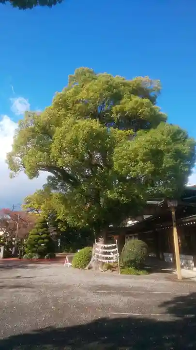 尾張大國霊神社(国府宮)の庭園