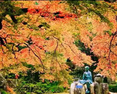 西善寺の{uncategorized: "未分類", other: "その他", undefined: "問題あり", building: "その他建物", grave: "お墓", sacred_gate: "鳥居", guardian: "狛犬", statue: "像", buddha: "仏像", history: "歴史", nature: "自然", garden: "庭園", animal: "動物", pagoda: "塔", temizu: "手水舎", mountain_gate: "山門・神門", sanctuary: "本殿・本堂", subordinate: "末社・摂社", art: "芸術", scenery: "景色", jizo: "地蔵", ema: "絵馬", goshuin: "御朱印", omikuji: "おみくじ", items: "授与品その他", amulet: "お守り", goshuincho: "御朱印帳", eats: "食事", festival: "お祭り", votive_dance: "神楽", shichigosan: "七五三参", wedding: "結婚式", experience: "体験その他", initially: "初詣", around: "周辺", anti_infection: "感染症対策"}
