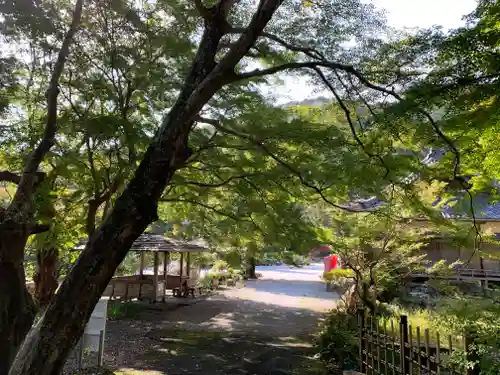 普門寺(切り絵御朱印発祥の寺)の庭園