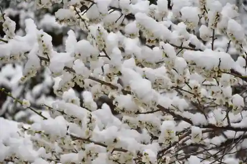 正安寺(神奈川県)