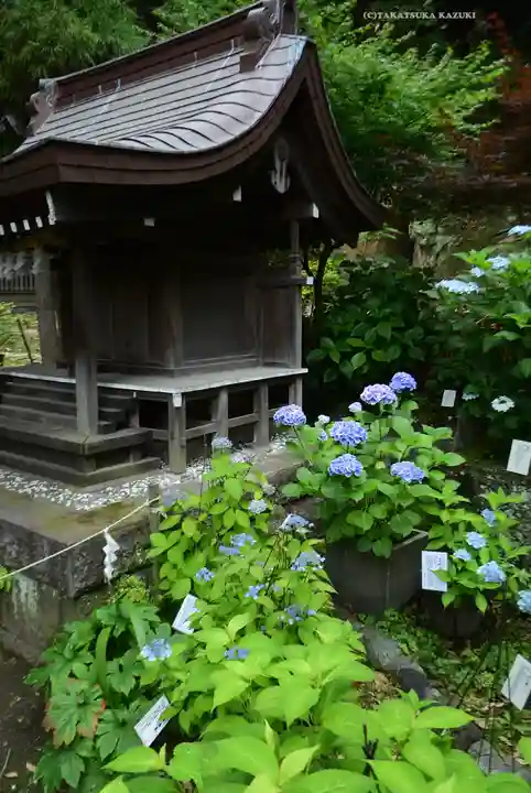 瀬戸神社(神奈川県)