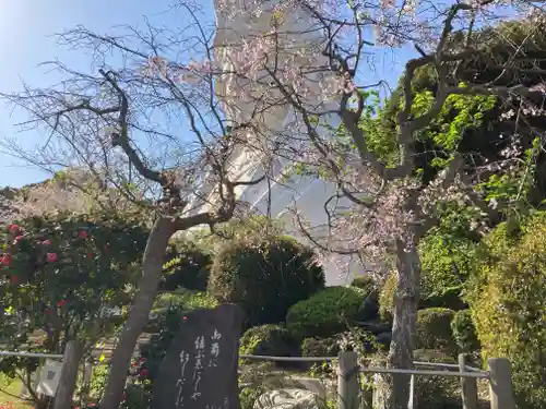 大船観音寺(神奈川県)