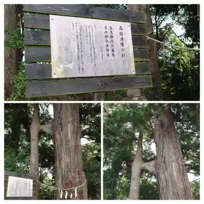 熊野那智神社(宮城県)