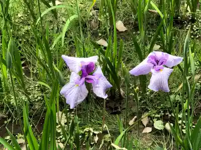 西宮神社(兵庫県)