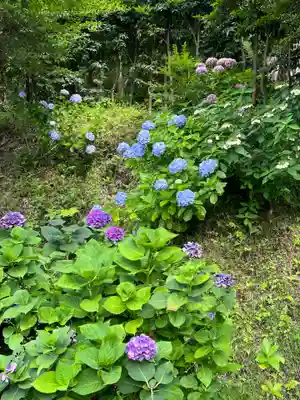 円覚寺(神奈川県)