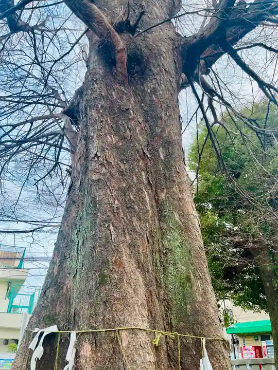 滝野川八幡神社(東京都)