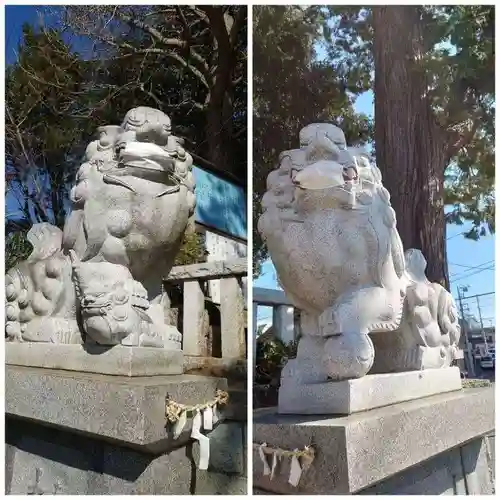 矢切神社の狛犬