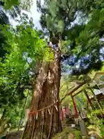 磐椅神社(福島県)