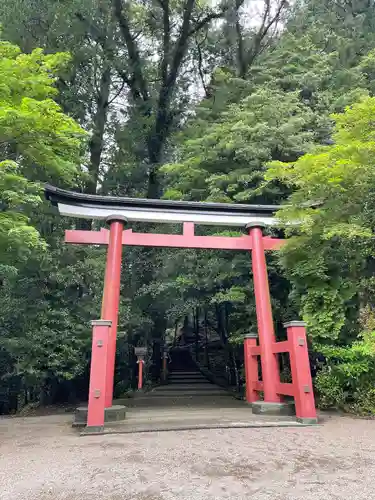 霧島東神社の鳥居