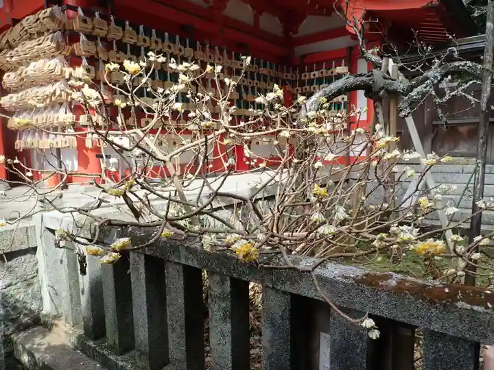 荏柄天神社(神奈川県)