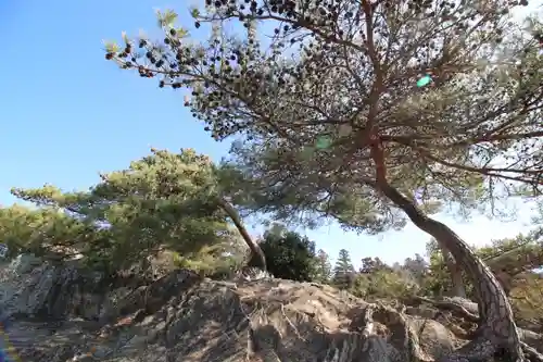 唐澤山神社(栃木県)