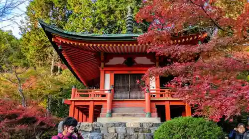 醍醐寺の本殿・本堂