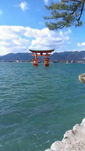 厳島神社の景色