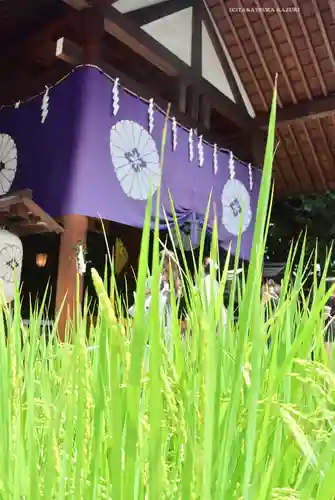 東京大神宮(東京都)