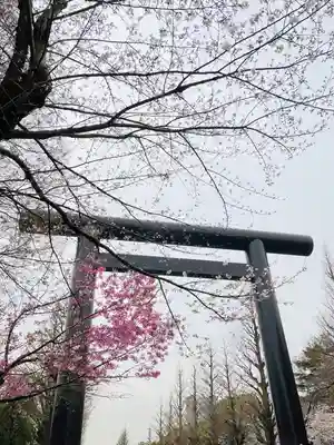 靖國神社(東京都)