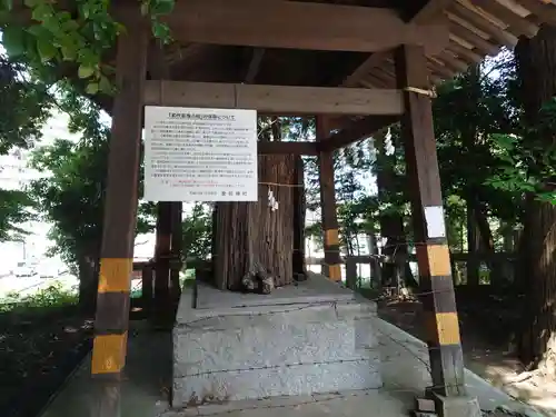 愛宕神社のその他建物